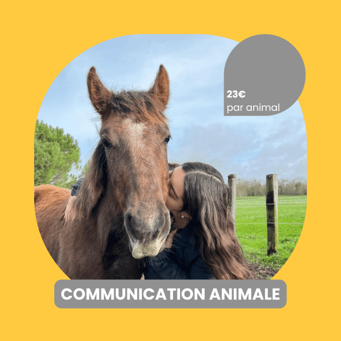 Communication animale