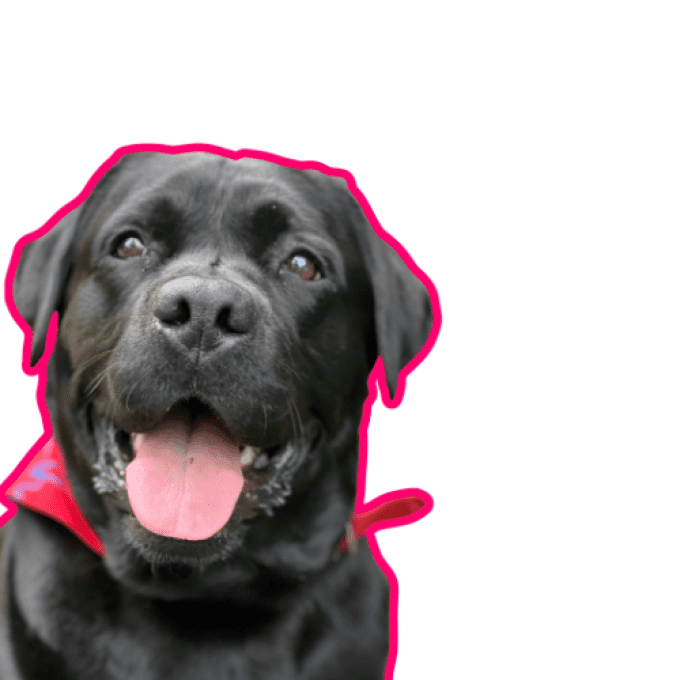 Im'Bulle - soin énergétique de février