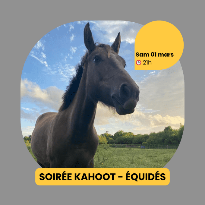 Soirée Kahoot - équidés 