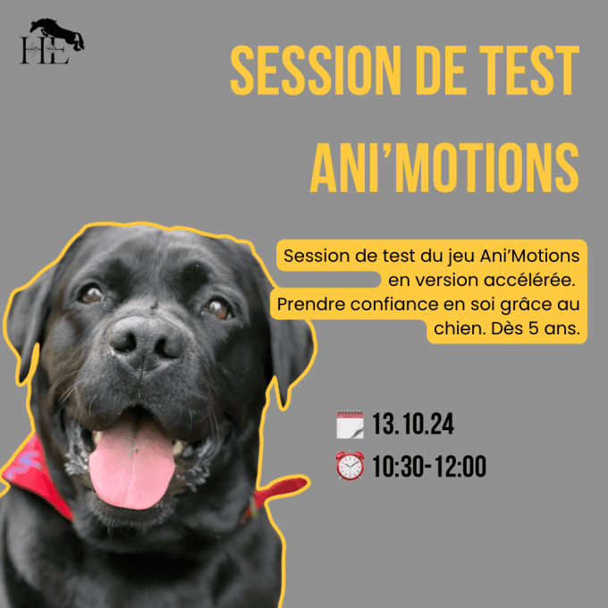 Session de test - Ani’Motions